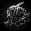 Insect, Hive and Seek