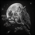 Black and white owl perched on a branch with a full moon in the background