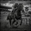 Horse and jockey racing on a track with stands in the background