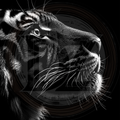 Black and white close-up of a tiger's face with a dark circular background