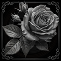 Black and white rose with leaves on a dark background