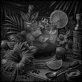 Black and white still life of a cocktail with ice, lime slices, and herbs on a textured surface with floral and leaf background.