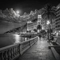 Black and white night scene of a coastal promenade with palm trees and buildings.