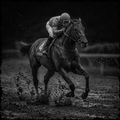 Horse racing on a track with a jockey in a dark setting