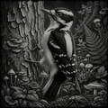 Bird, Ironbeak