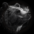 Bear, The Gentle Giant