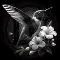 Bird, Hummingbird and Hibiscus