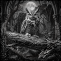 Owl perched on a log in a gothic-style setting with stone architecture and a full moon.