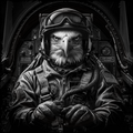 Person wearing a helmet with an eagle's face in a cockpit setting