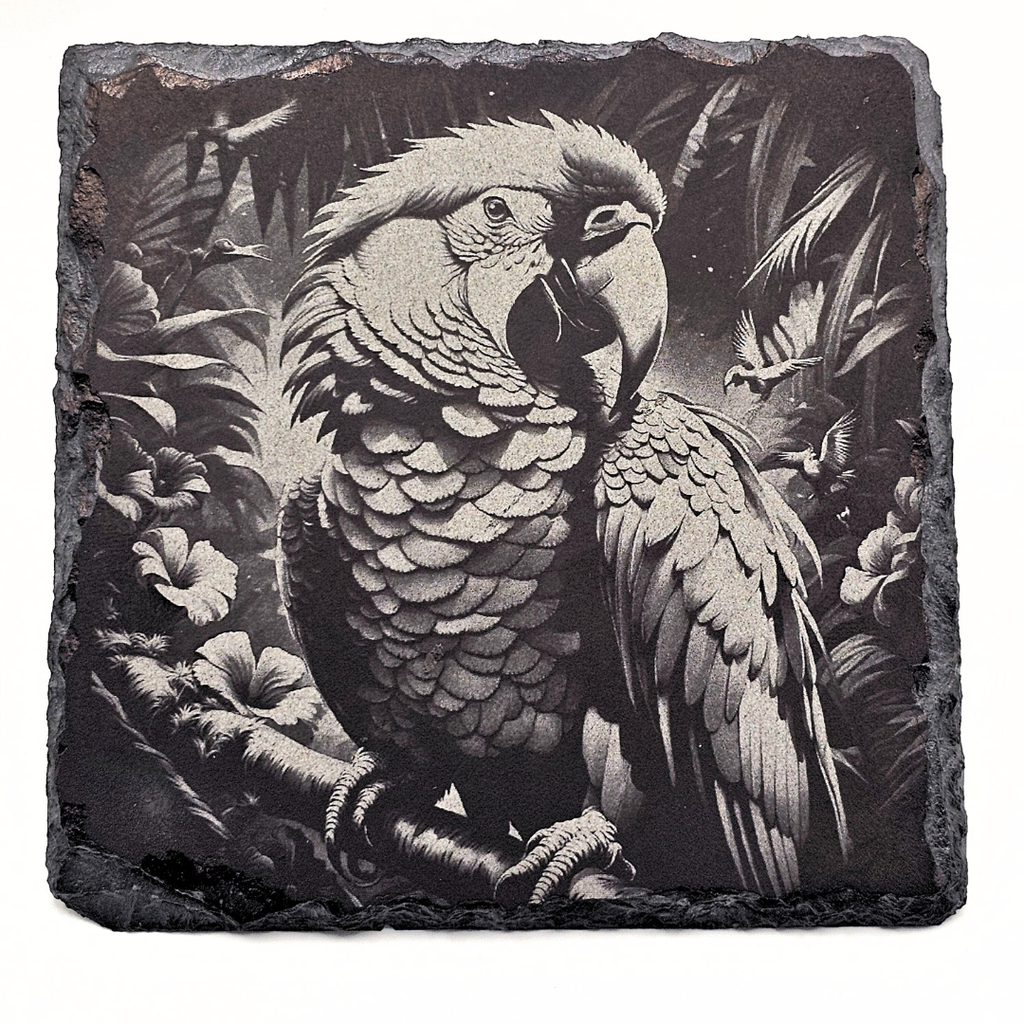 Parrot, Song Turned to Stone