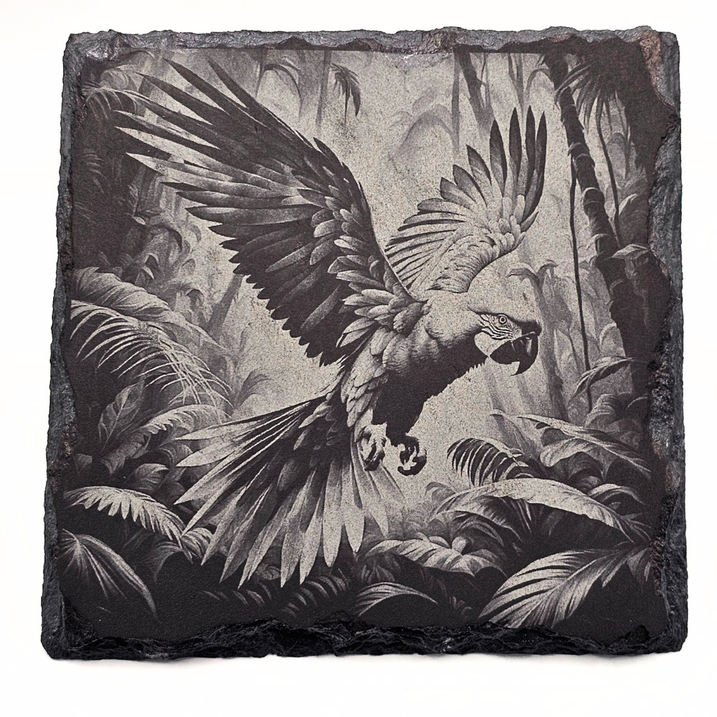 Parrot, Avian Majesty