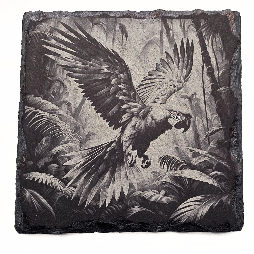 Parrot, Avian Majesty