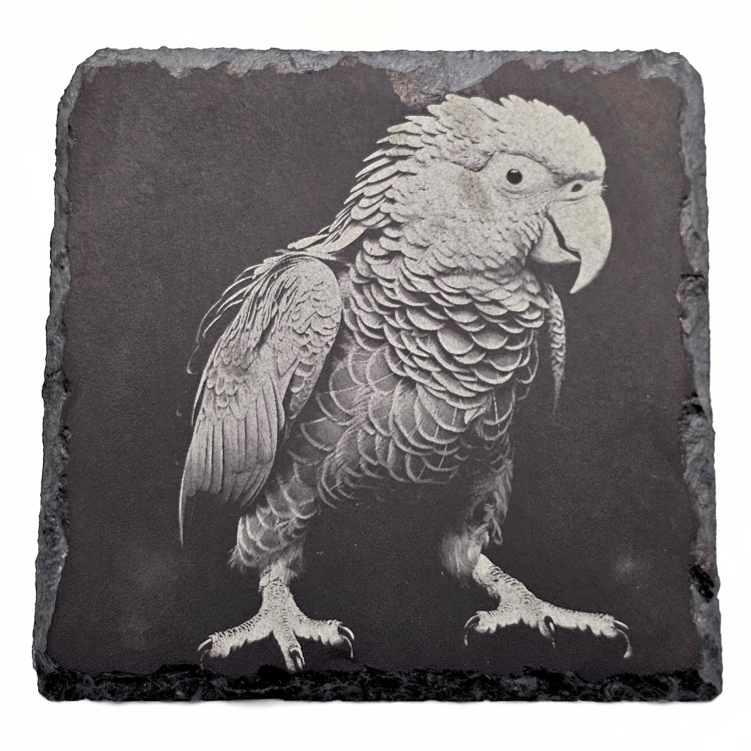 Slate coaster with engraved parrot design on a white background