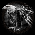 Black and white illustration of an eagle with an American flag on its chest