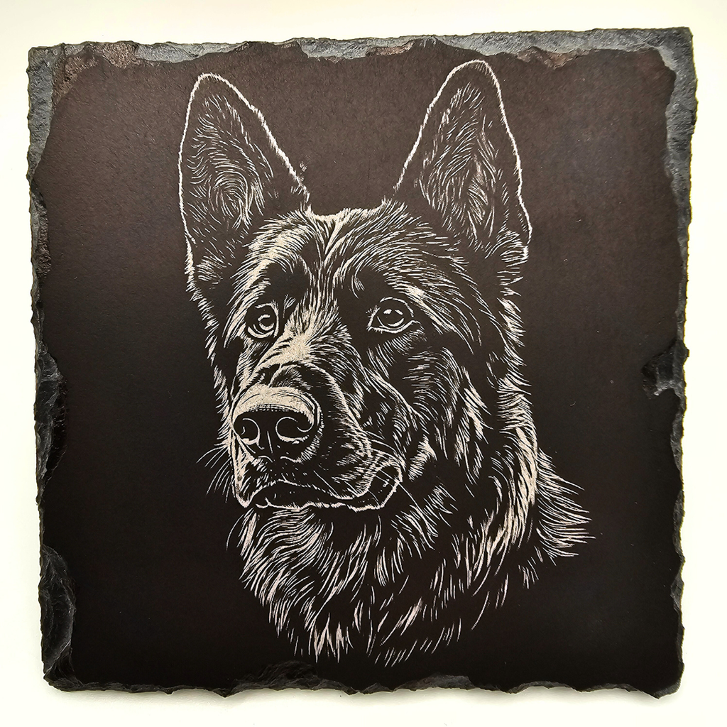 Dog, German Shepherd 1