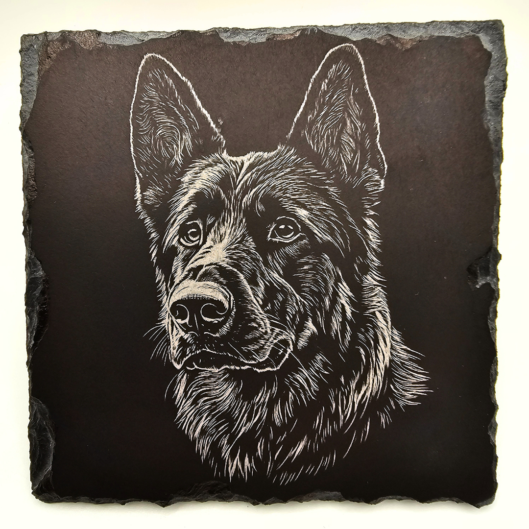 Dog, German Shepherd 1