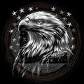 Eagle, Guardian of the Sky