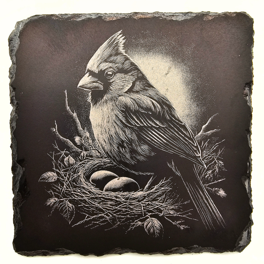 Bird, Christmas Cardinals 4